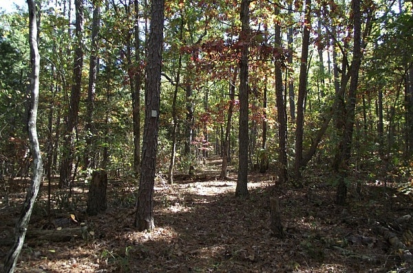 Hole in the Ground Mtn Trail (Ouachita Forest) - 7 mi (o&b) photo