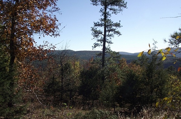 Hole in the Ground Mtn Trail (Ouachita Forest) - 7 mi (o&b) photo
