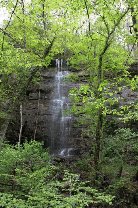 Indian Creek to Tunnel Cave Falls (Buffalo River) photo