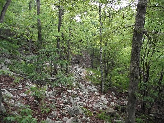 Ouachita Trail: 81.0-85.5 - MM81 to FR76A (Section 4) photo