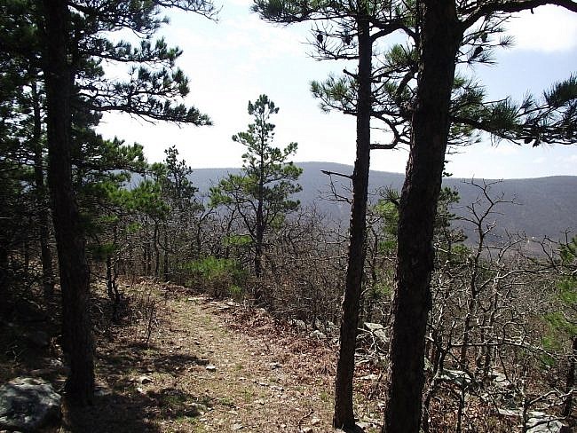 Hike on Black Fork Mountain Trail (Ouachita Forest) photo