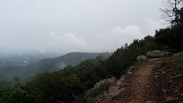 Mount Nebo: Rim Trail Foggy Misty Photos September 2012 photo