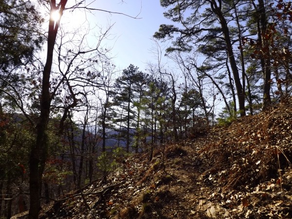 Tall Peak Trail Photos February 2013 (Ouachita Forest) photo