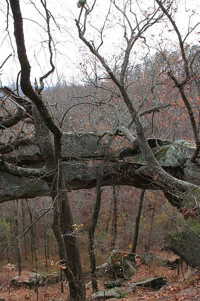 Buzzard Roost Trail (Ozark Forest) photo