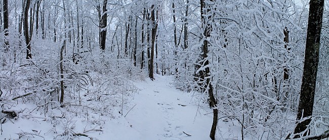 Mt. Magazine: Benefield E. Loop Trail Snow Photos, Pt. 1 photo