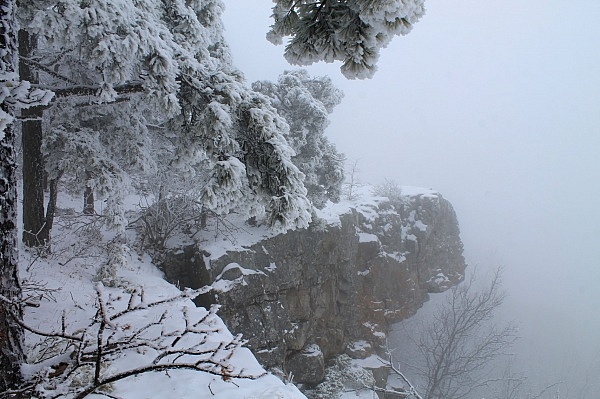 Mt. Magazine: Benefield E. Loop Trail Snow Photos Pt. 2 photo