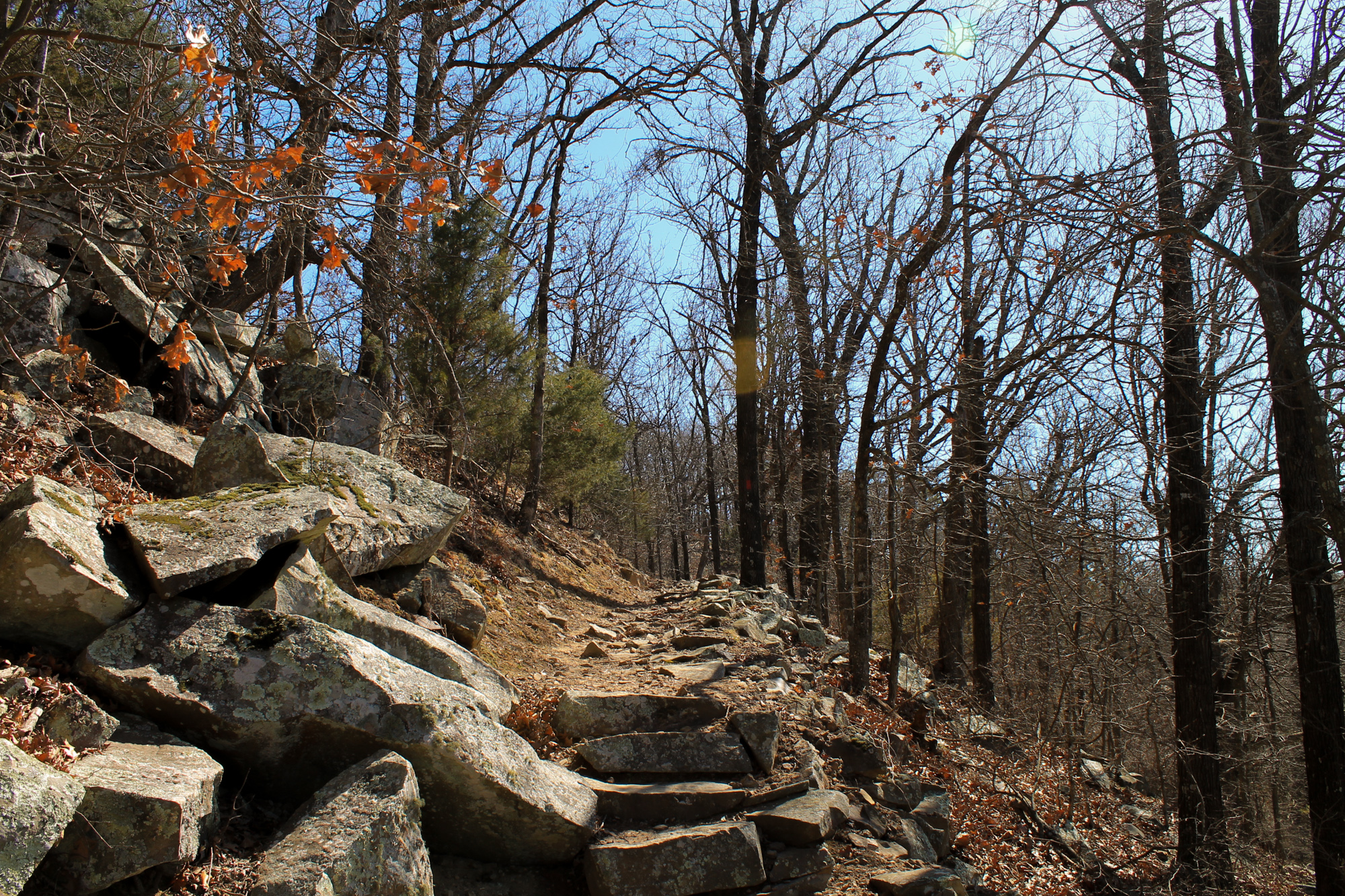 Mount Nebo Summit Park Trail Photos - 2014 0222 Mtnebo0012 1 