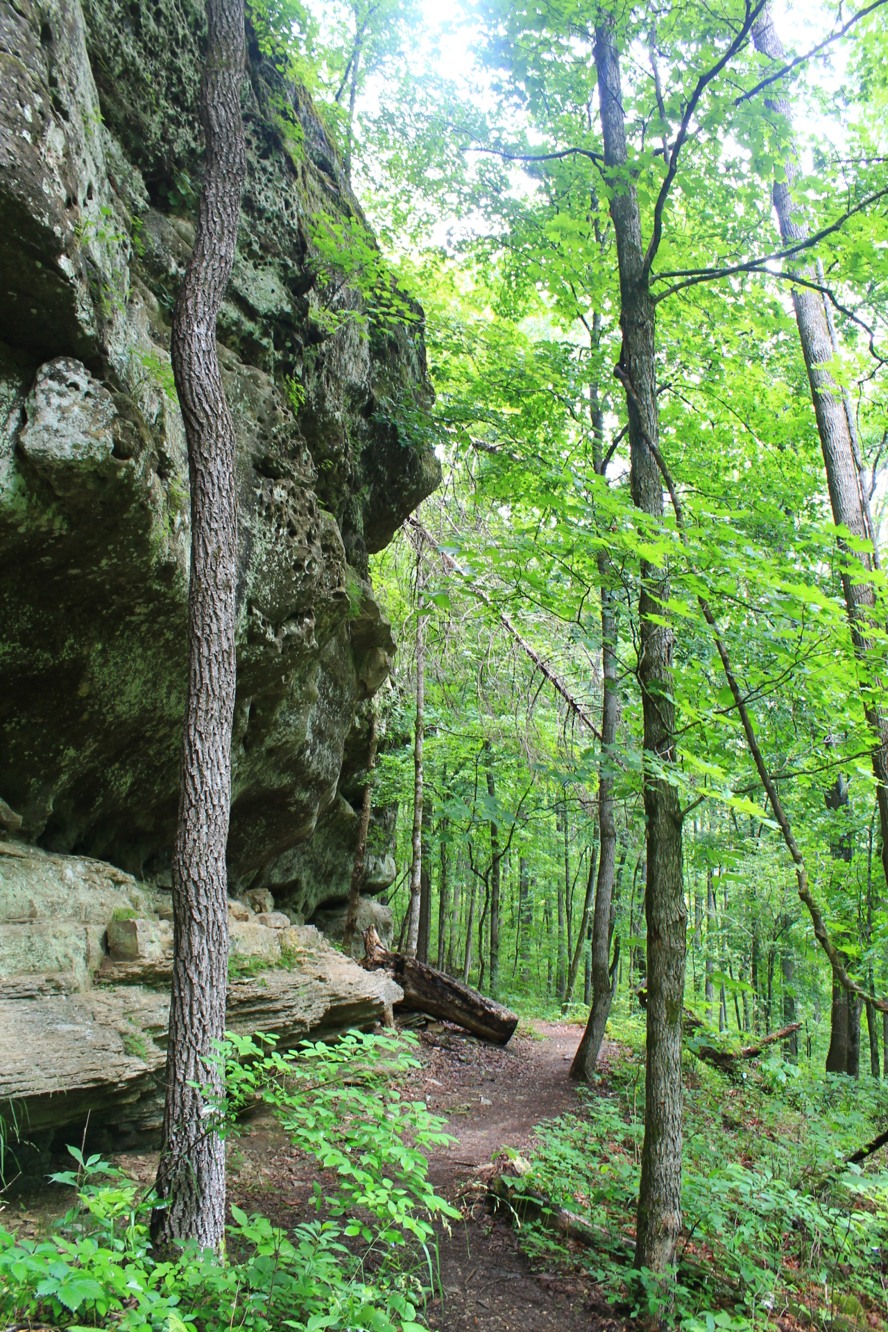 Buffalo Point: Indian Rockhouse Trail Photos | Arklahoma Hiker