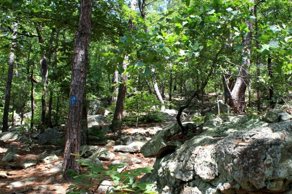 Robbers Cave: Rough Canyon Trail Photos photo