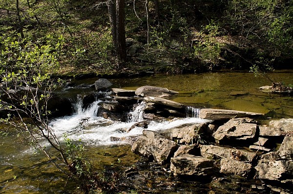 Caney Creek Trail - West (Ouachita Forest) - 11 mi (o&b) photo