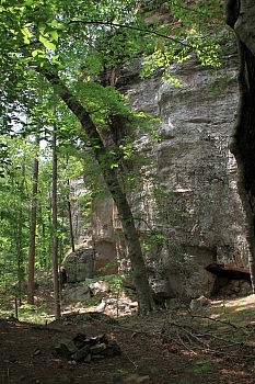 Pam's Grotto (Ozark Forest) | Arklahoma Hiker