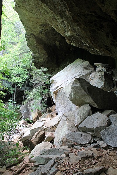 Pam's Grotto (Ozark Forest) photo