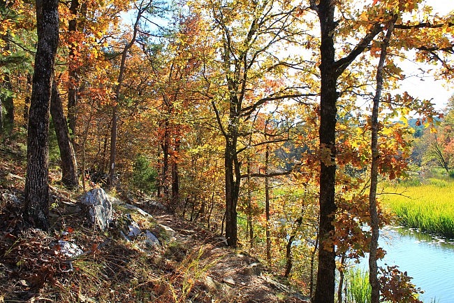 Cedar Lake Trail Fall Pics (Ouachita Forest) photo