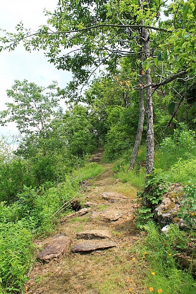 Mount Magazine: Bear Hollow Trail - 5 mi (o&b) photo