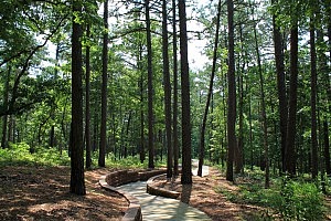 Pick a Trail - Northwest Arkansas photo