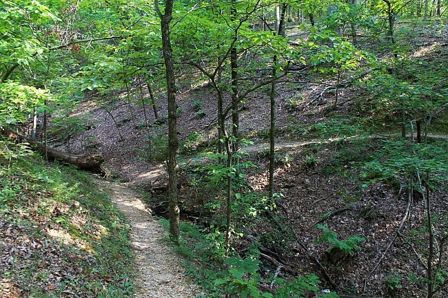 Hobbs: Shaddox Hollow Trail - 1 mi photo