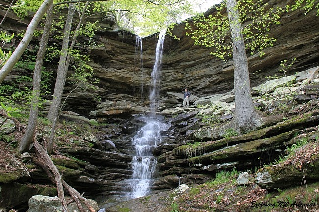 Lonesome Hollow Falls (Ozark Forest) photo
