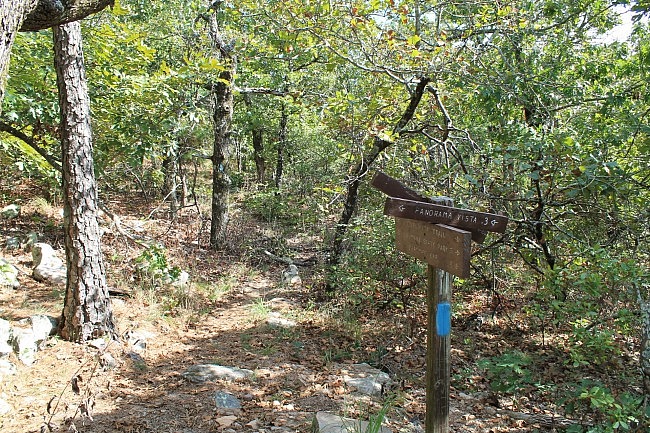 Ouachita Trail: 02.4-05.8 - Potato Hill Vista Spur to FR 6010 (Section 1) photo