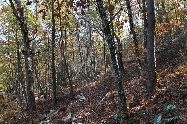 Ouachita Trail 01 Pics: FR 6014 to Winding Stair TH (21.7 to 23.7) photo