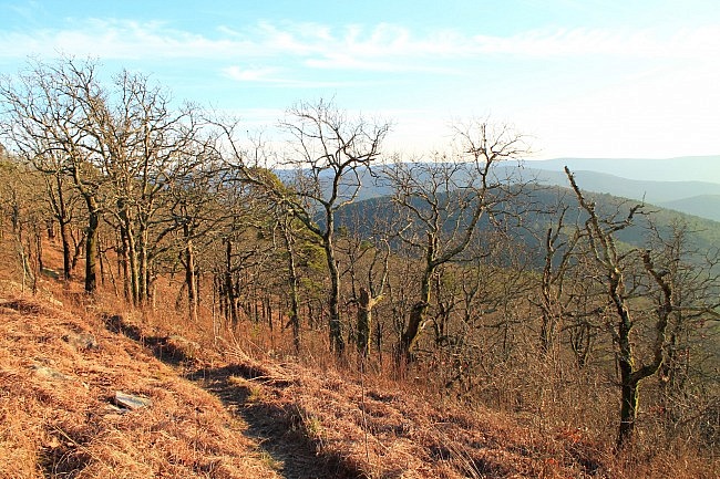 Ouachita Trail: 23.7-26.3 - Winding Stair TH to Highpoint to Saddle (Section 2) photo