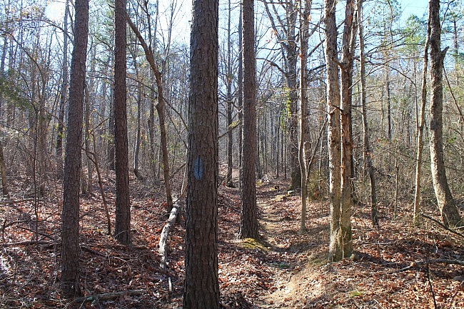 Ouachita Trail: 54.1-56.7 - Talimena Scenic Drive to Hwy 270/Black Fork Mtn. TH (Section 3) photo