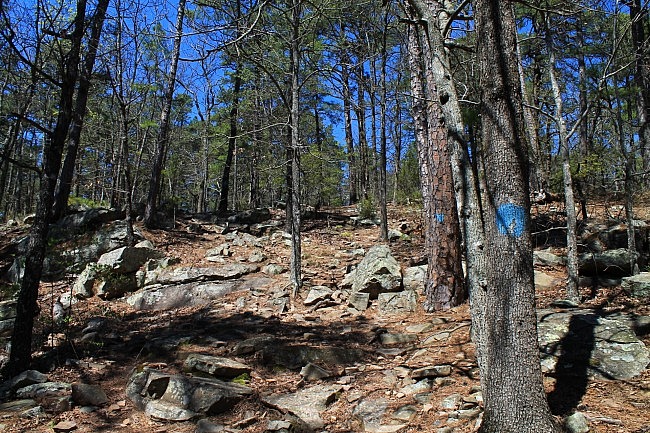 Robbers Cave: Rough Canyon Trail - 3 mi photo