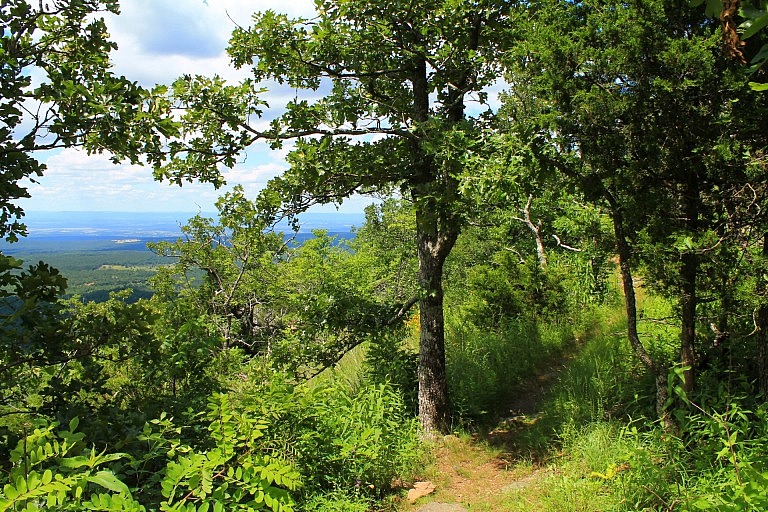 Mount Magazine: North Rim Trail - 5 mi (o&b) | Arklahoma Hiker