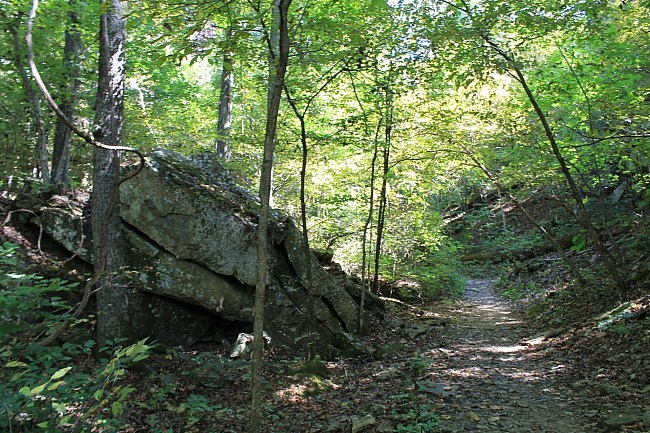 Devil's Den: Yellow Rock Trail - 3 mi photo