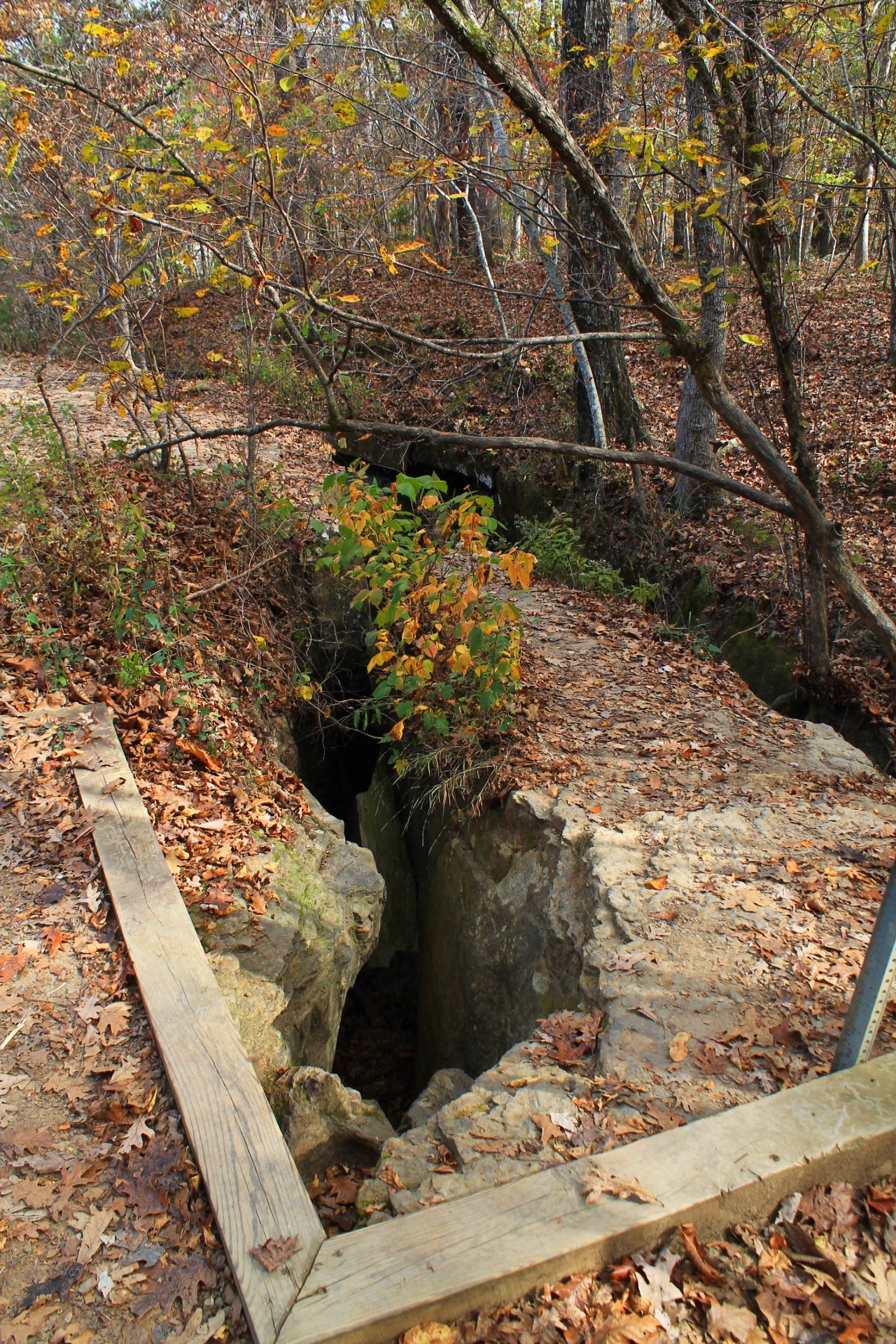 11 Things To Do At Devils Den State Park