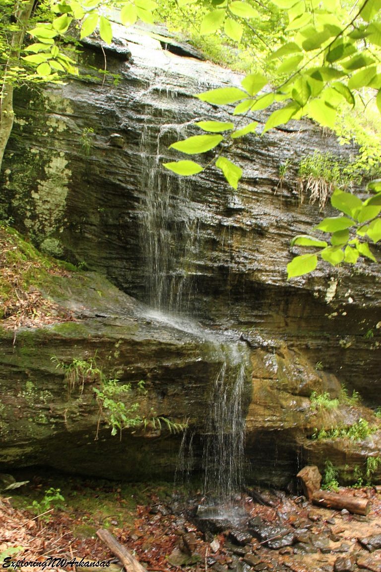 Alum Cove Natural Bridge Trail (Ozark Forest) - 1 mi | Arklahoma Hiker