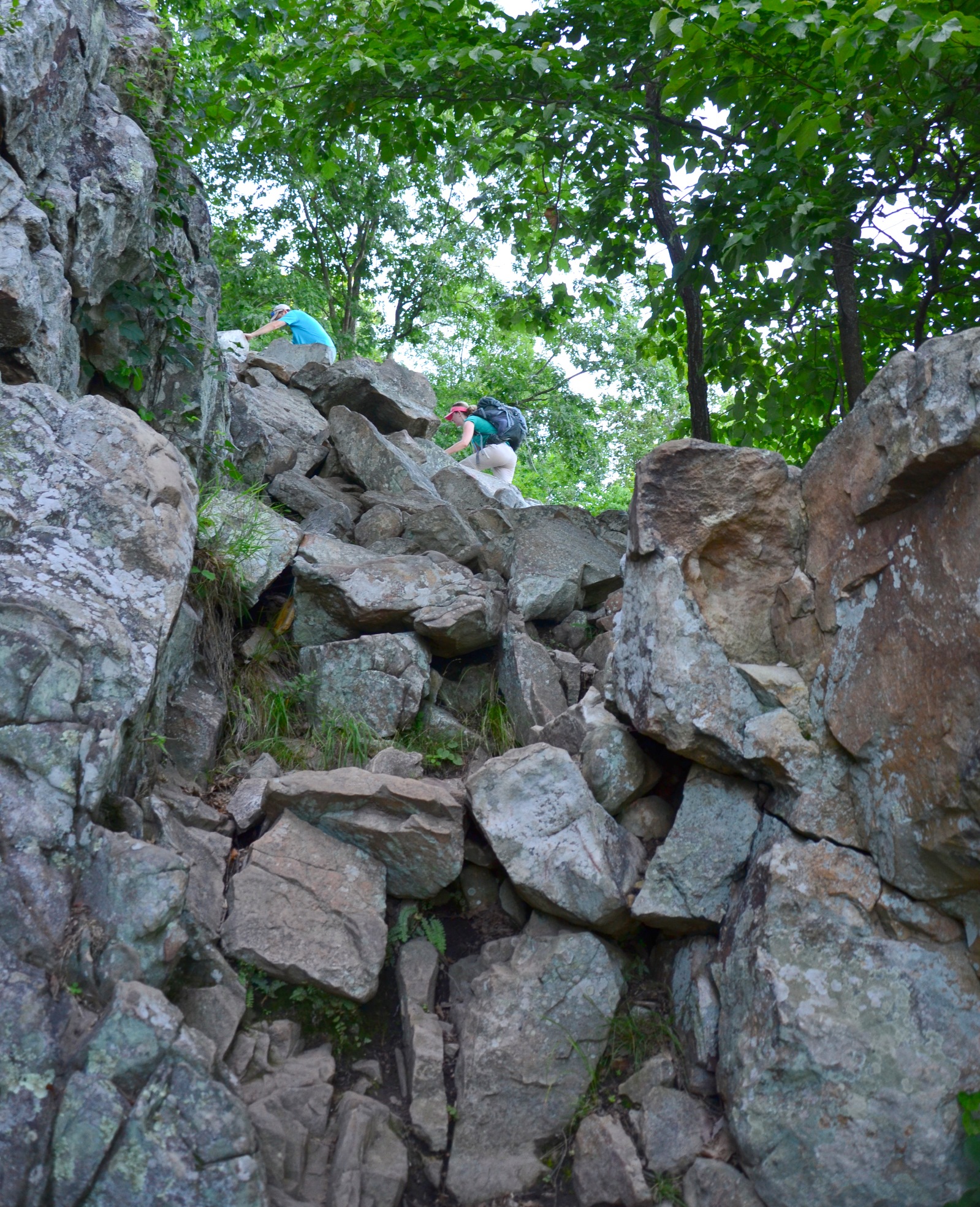 Pinnacle Mountain Summit Trail Loop 3 Mi Arklahoma Hiker Pinnacle Mountain Summit Trail Loop 3 Mi Arklahoma Hiker
