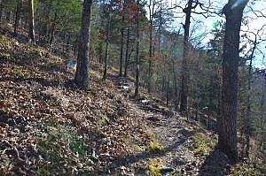 Pick a Trail - Central Arkansas photo