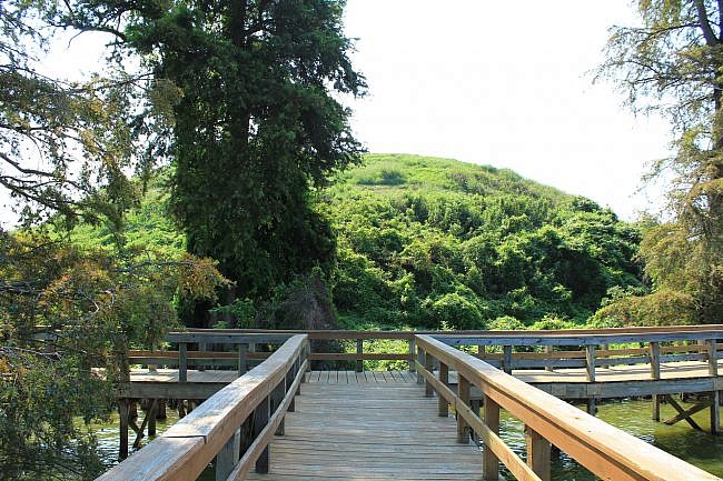 Toltec Mounds: Plum Bayou Trail – 2 mi photo
