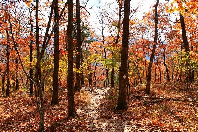 Devil's Den: Yellow Rock Trail Autumn Pics photo