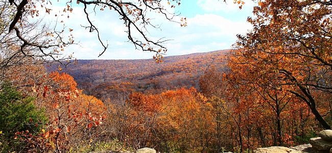 Devil's Den: Yellow Rock Trail Autumn Pics photo