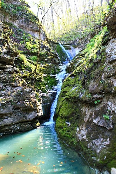 Smith Creek Preserve: Elise Falls Trail Pics photo