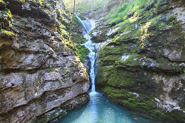 Smith Creek Preserve: Elise Falls Trail Pics photo