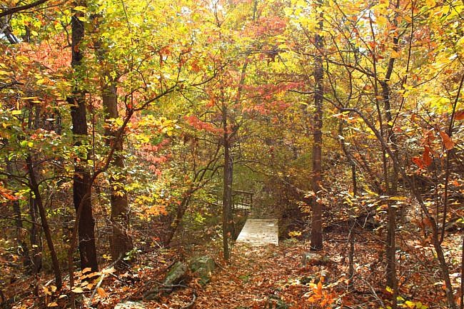 Lake Tenkiller: Overlook Nature Trail Fall Pics photo