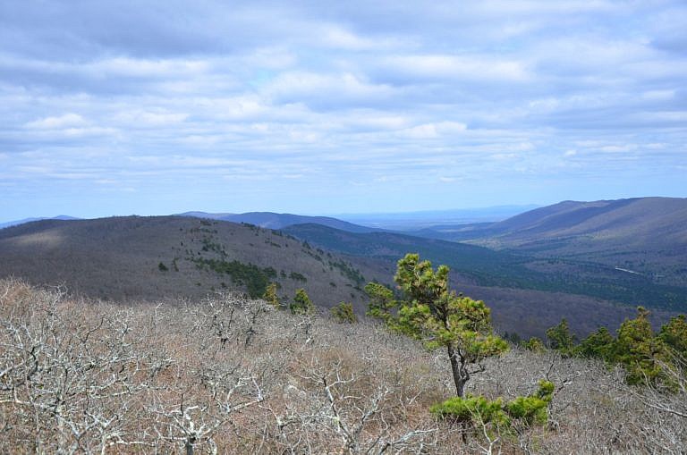 Black Fork Mountain Trail (Ouachita Forest) – 11 mi (o&b) | Arklahoma Hiker