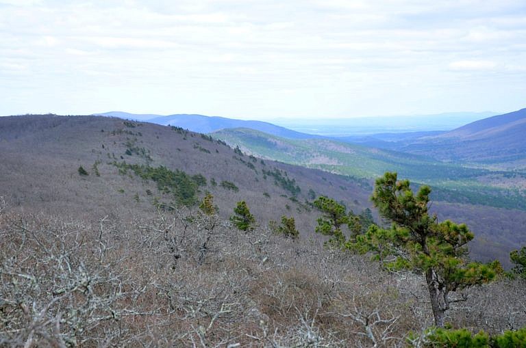 Black Fork Mountain Trail (Ouachita Forest) – 11 mi (o&b) | Arklahoma Hiker