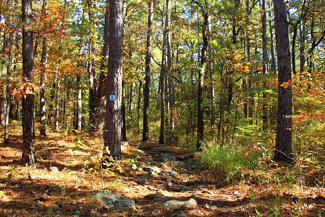 Robbers Cave: Cattail Pond/Rough Canyon Trail Loop – 4 mi photo