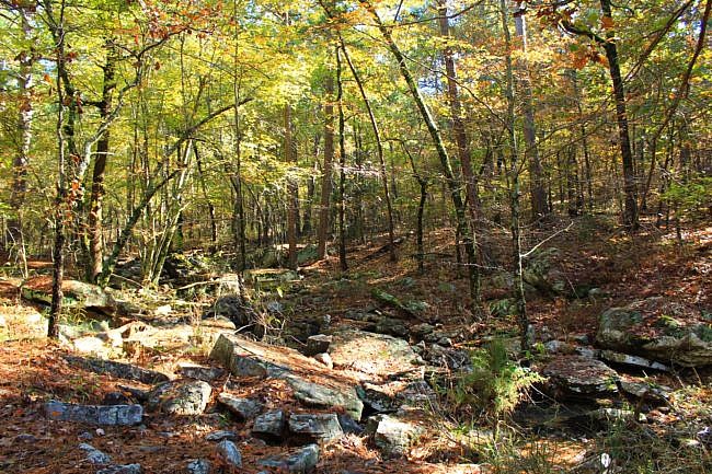 Robbers Cave: Cattail Pond/Rough Canyon Loop Fall Pics photo