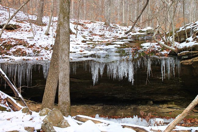 Glory Hole Falls Trail (Ozark Forest) in Winter photo