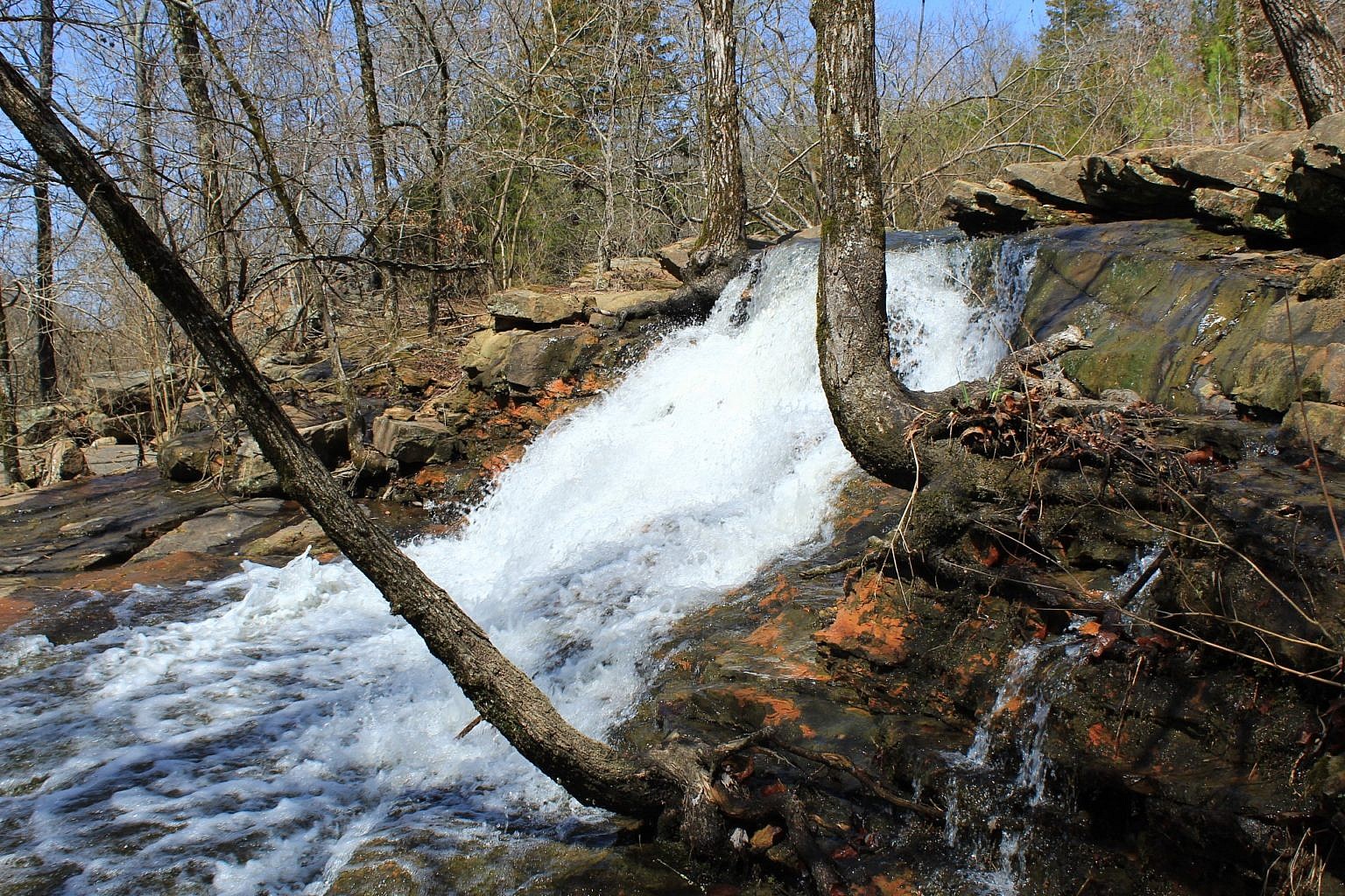 Woolly Hollow: Huckleberry Trail - 3 mi | Arklahoma Hiker