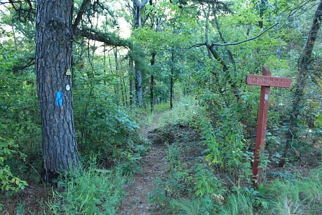 Ouachita Trail: 08.0-13.4 - Deadman's Gap to Cedar Branch to Wildhorse Creek (Section 1) photo