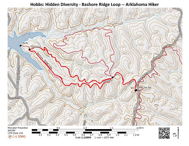 Hobbs: Hidden Diversity - Bashore Ridge Loop - 4 mi photo