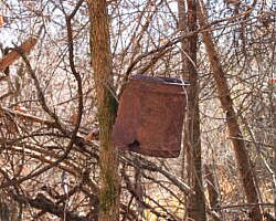 Big Bluff Hike via Center Point (Buffalo River) - 6 mi photo Big Bluff Hike via Center Point (Buffalo River) - 6 mi photo