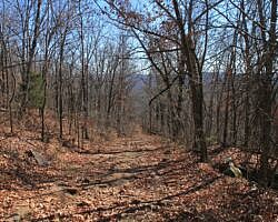 Big Bluff Hike via Center Point (Buffalo River) - 6 mi photo Big Bluff Hike via Center Point (Buffalo River) - 6 mi photo