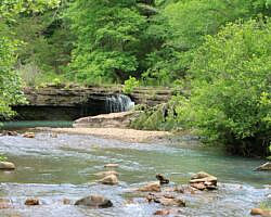Haw Creek Falls (Ozark Forest) photo Haw Creek Falls (Ozark Forest) photo
