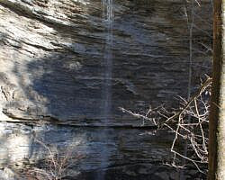 Terry Keefe Falls Hike (Ozark Forest) photo Terry Keefe Falls Hike (Ozark Forest) photo
